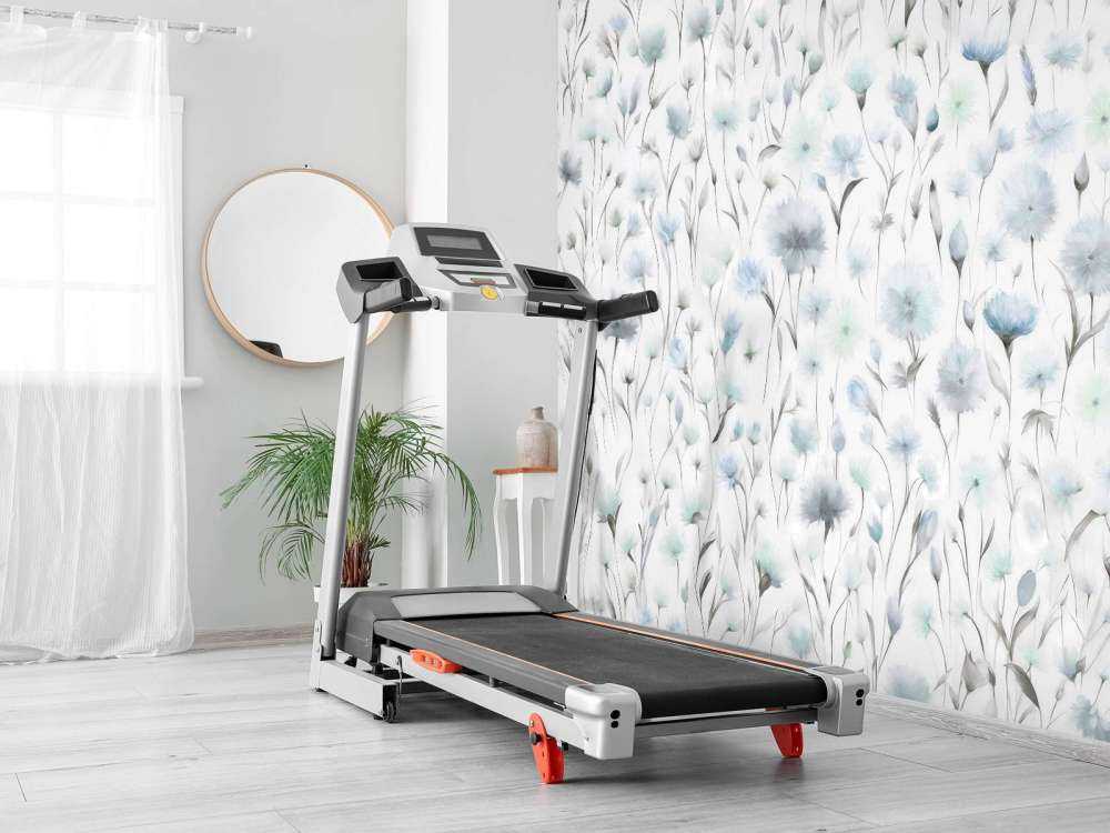 Cornflowers and field grasses Blue