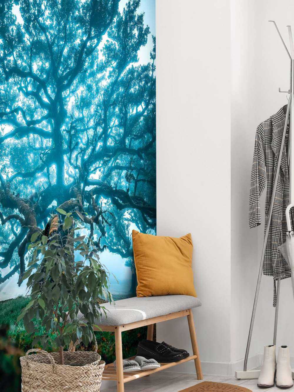 Oude eik in nevelwoud