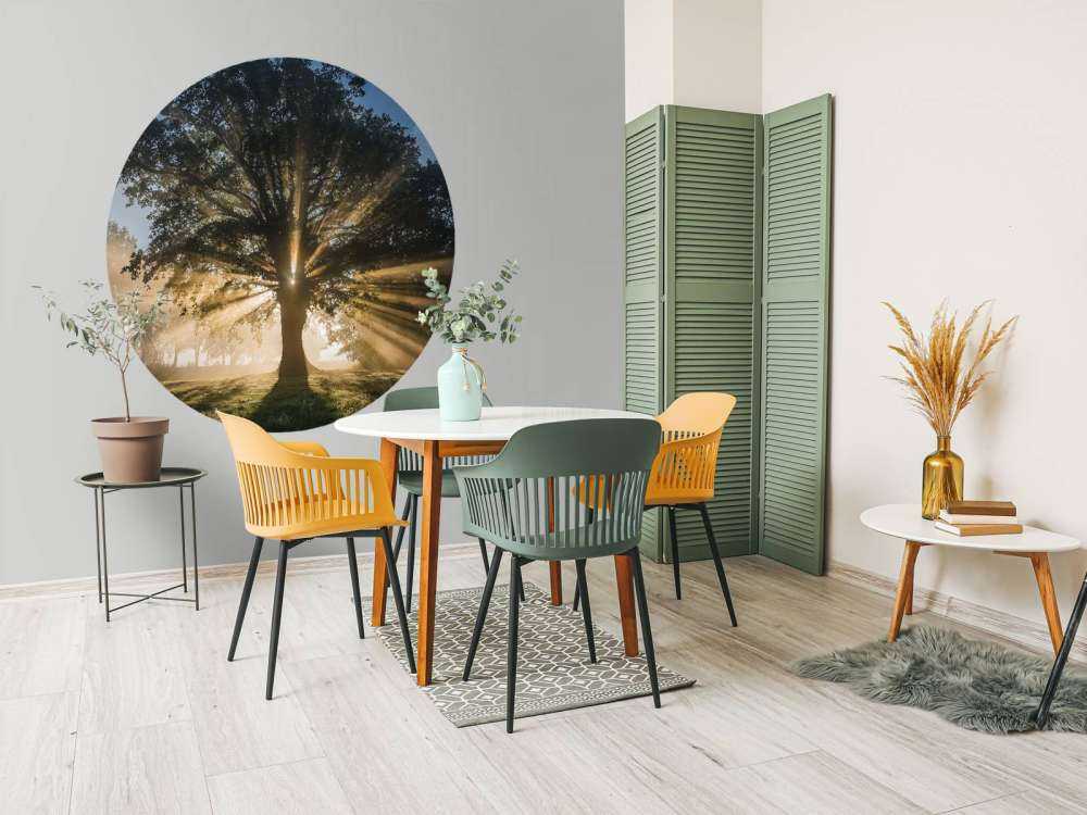 Zonnestralen door de Oude Eik