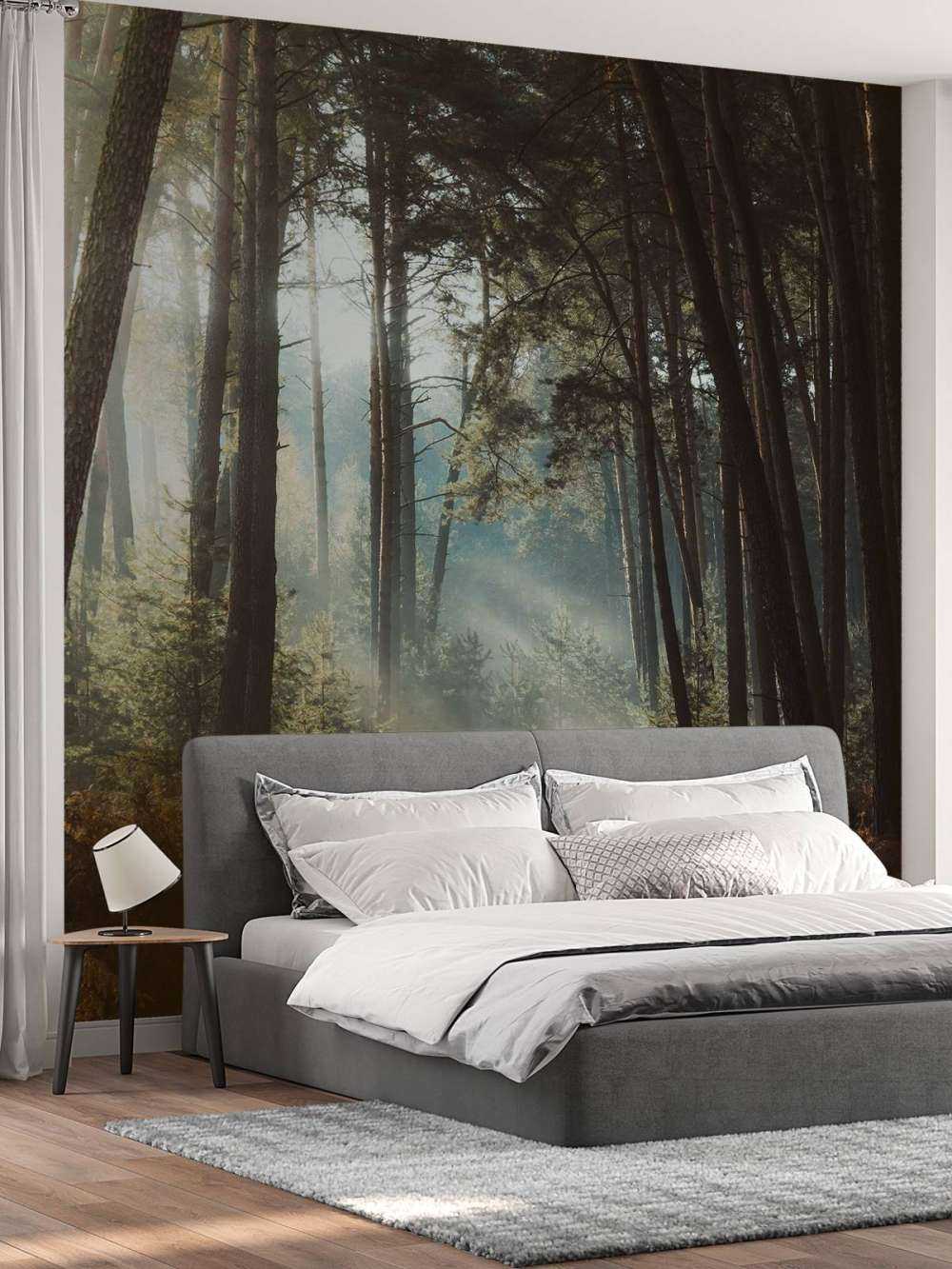 Overgang van de Seizoenen