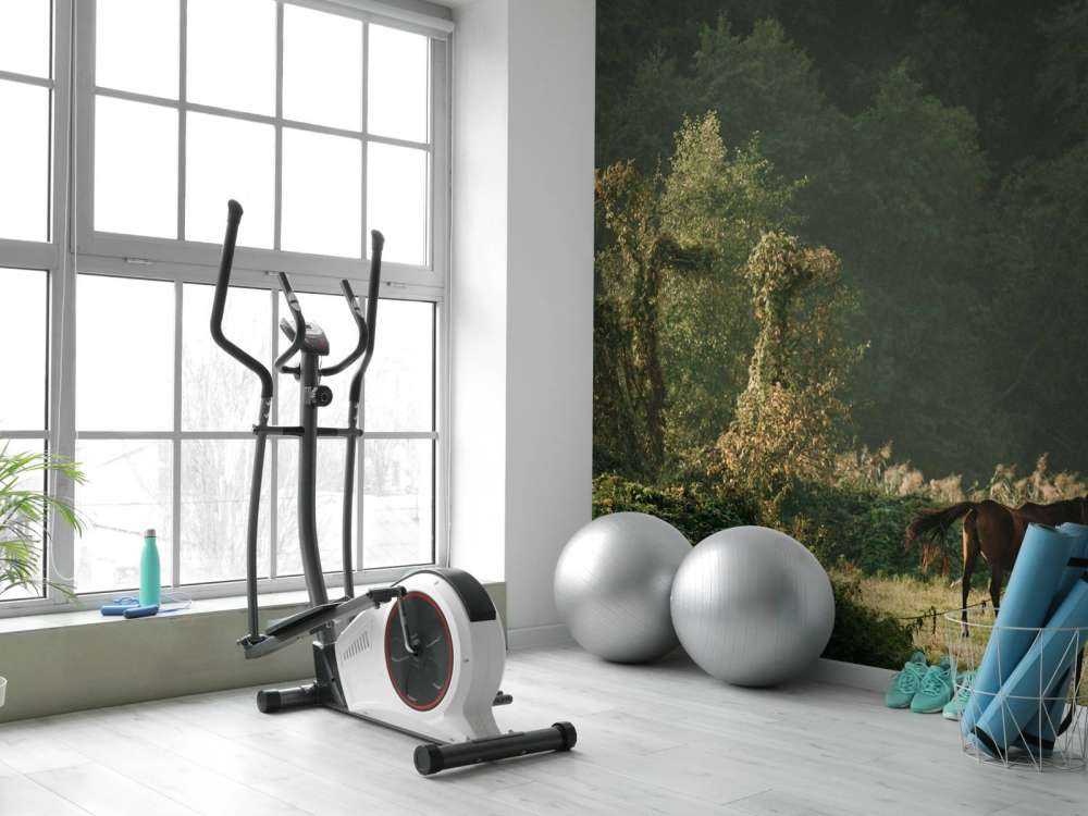 Paarden in het Betoverde Woud