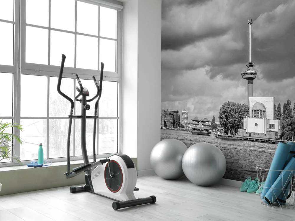 Euromast en Maas in Monochroom