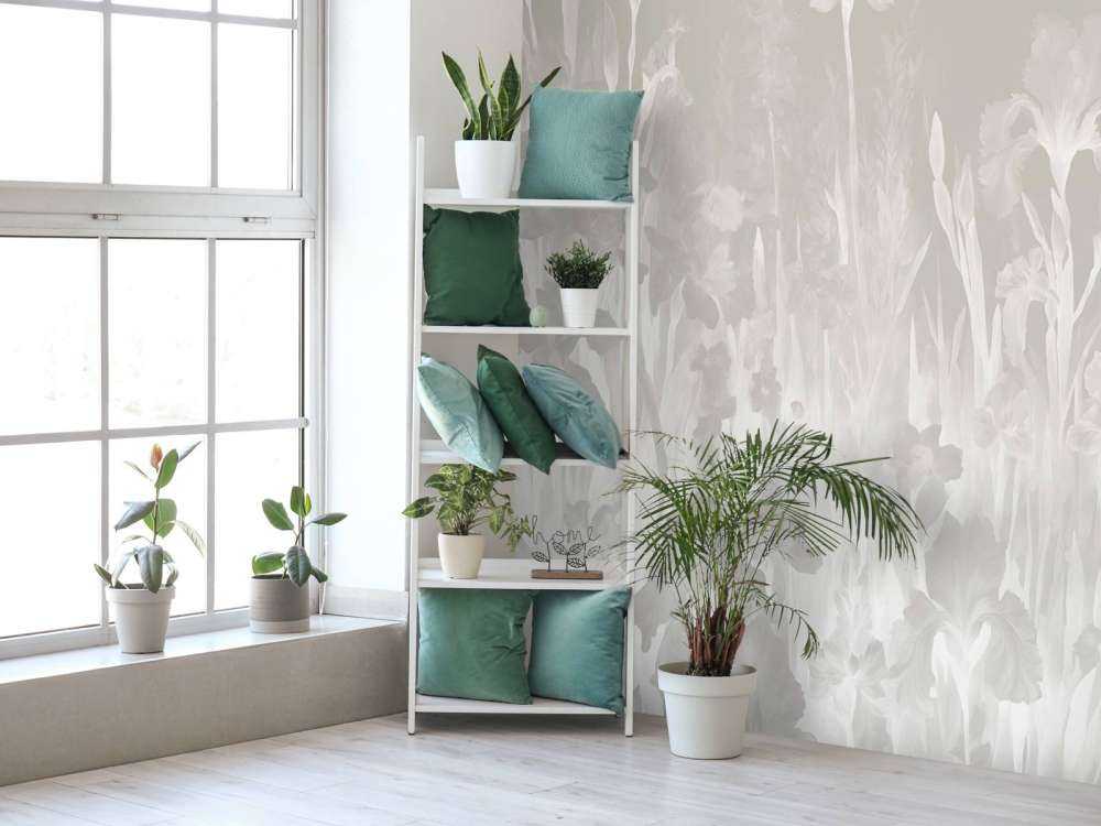 Fragrant spring Soft Purple