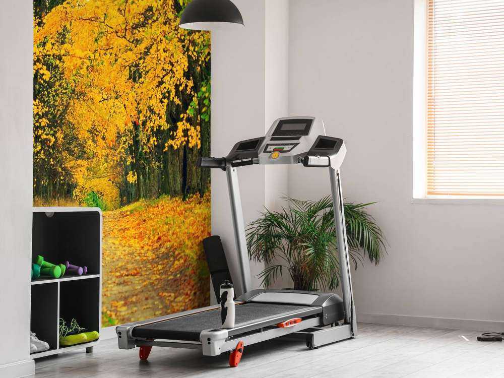 Herfst Bomen met Gele Bladeren