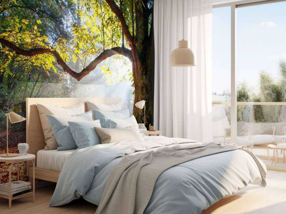 Mooie Eik in het Bos