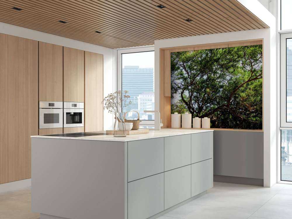 Oude Boom in Jungle