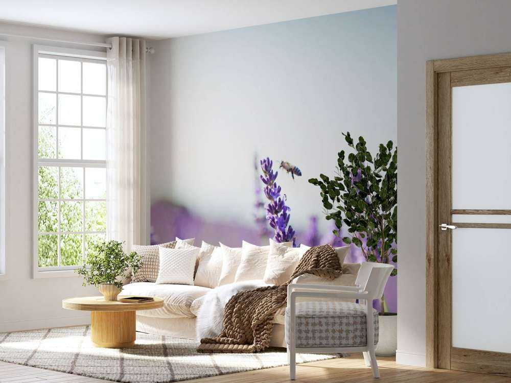 Lavendel steel close-up