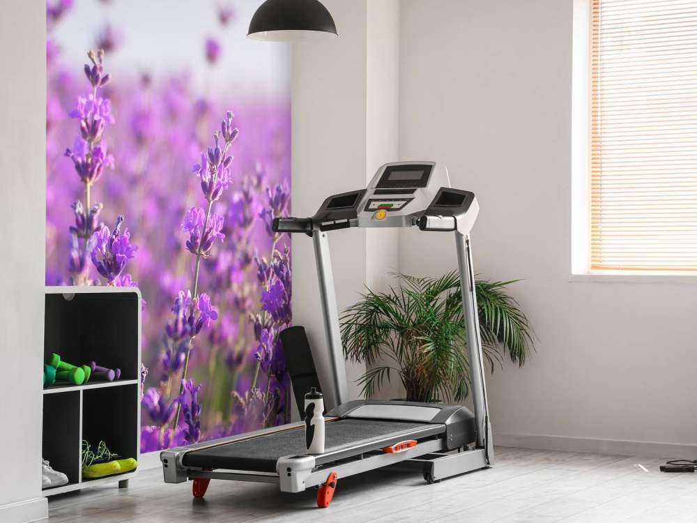 Close-Up van Lavendel