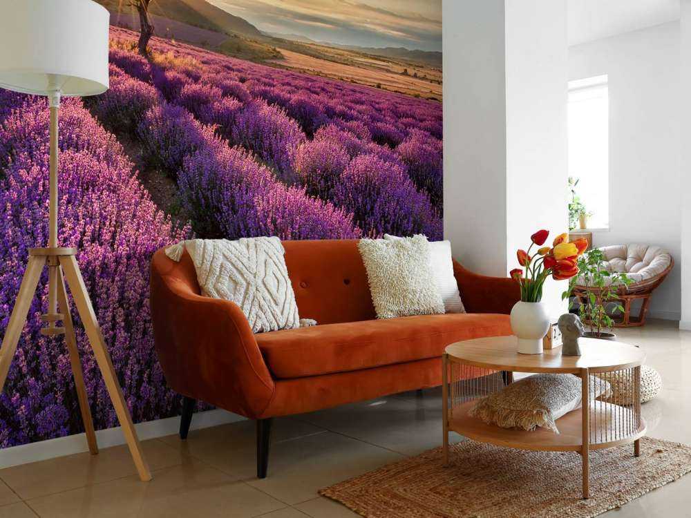 Prachtig landschap met lavendel veld bij zonsopkomst