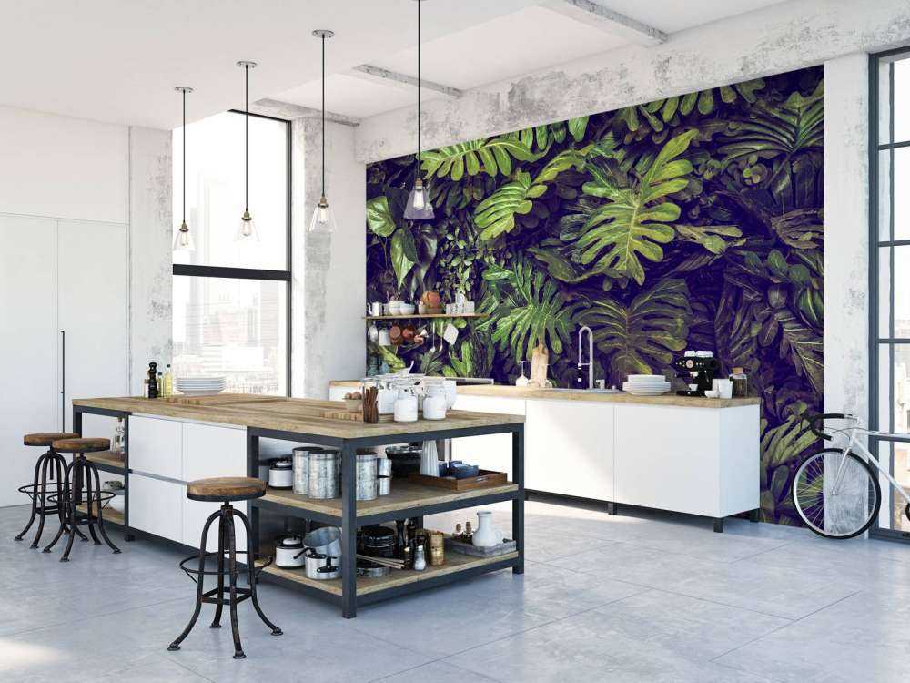 Groene Monstera Bladeren