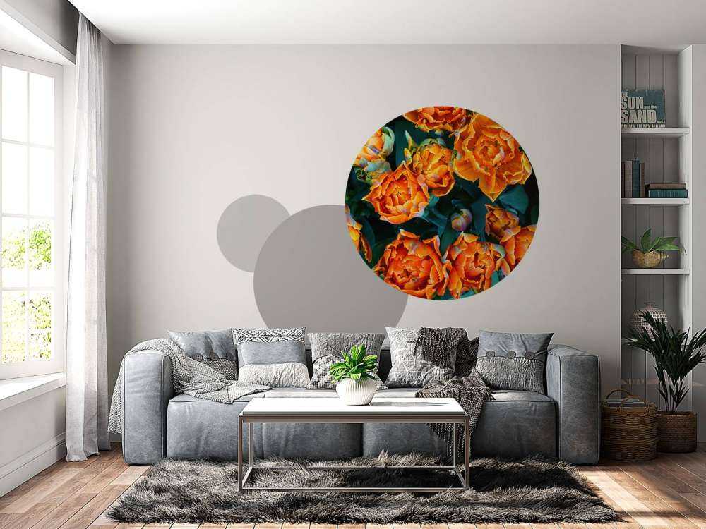 Close-up oranje tulpen