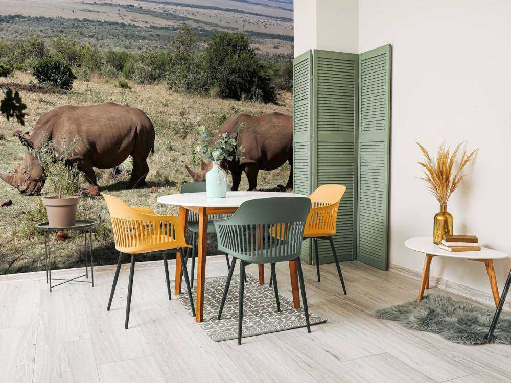 Grazende witte neushoorns