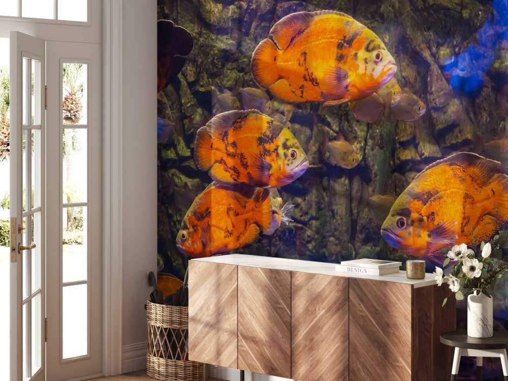 Tropische vissen en algen