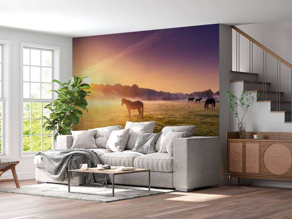 Grazende paarden bij zonsondergang