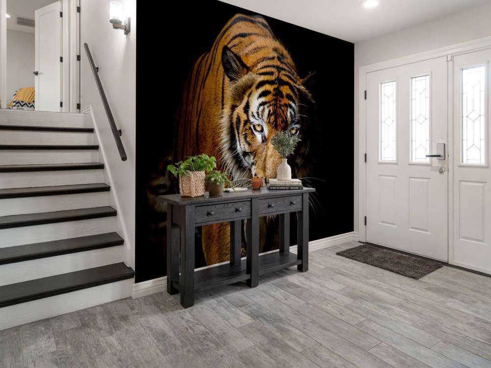 Tijger met een zwarte achtergrond