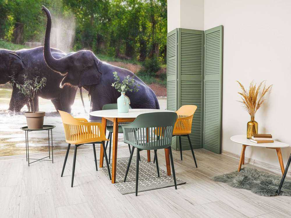 olifanten spelen in het water