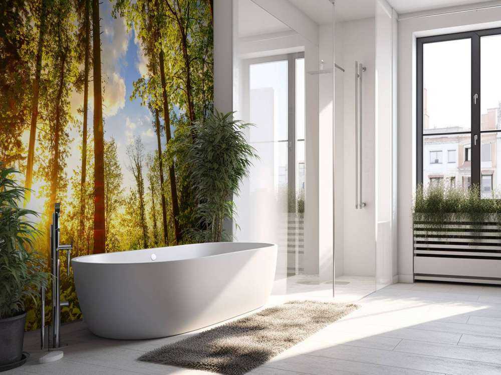 Zonsondergang door de bomen