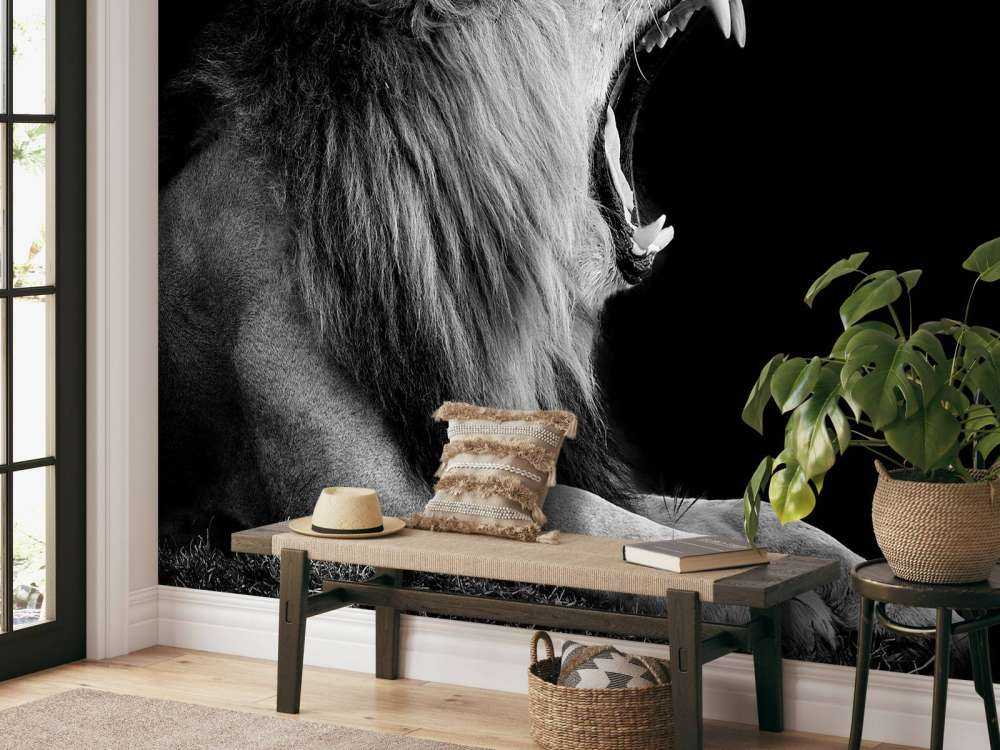 Gevaarlijke Leeuw op Zwarte Achtergrond