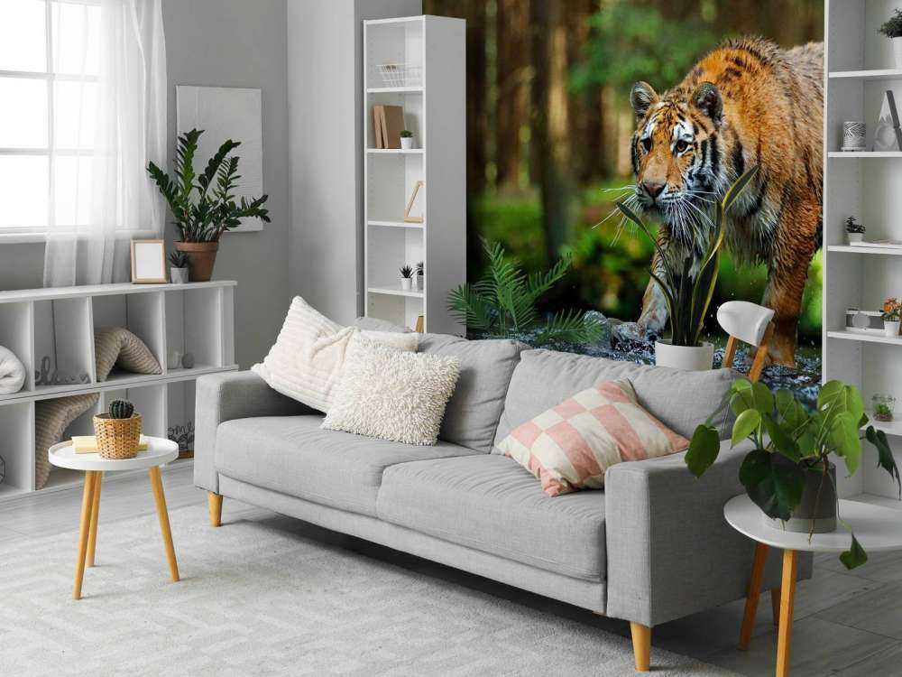 Tijger op een rivier