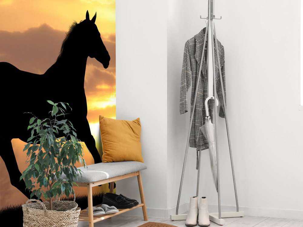 Paard tijdens Zonsondergang