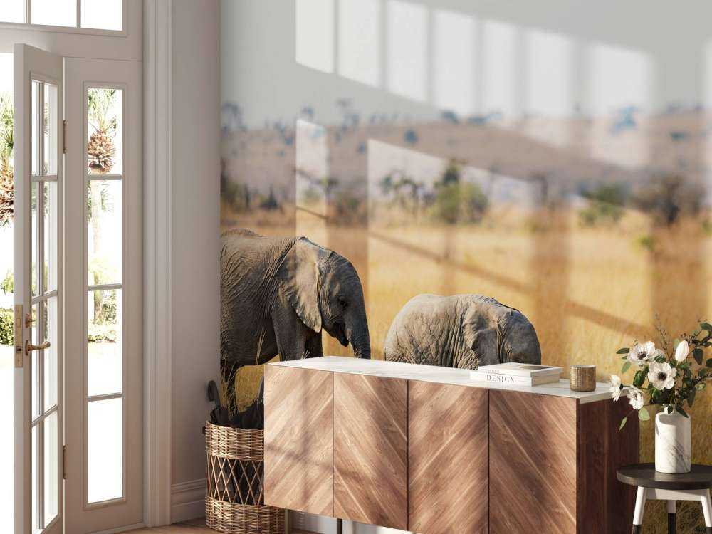 Olifant en Baby Olifant in Afrika