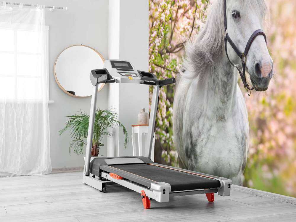 Wit Paard met Bloesem in Lente