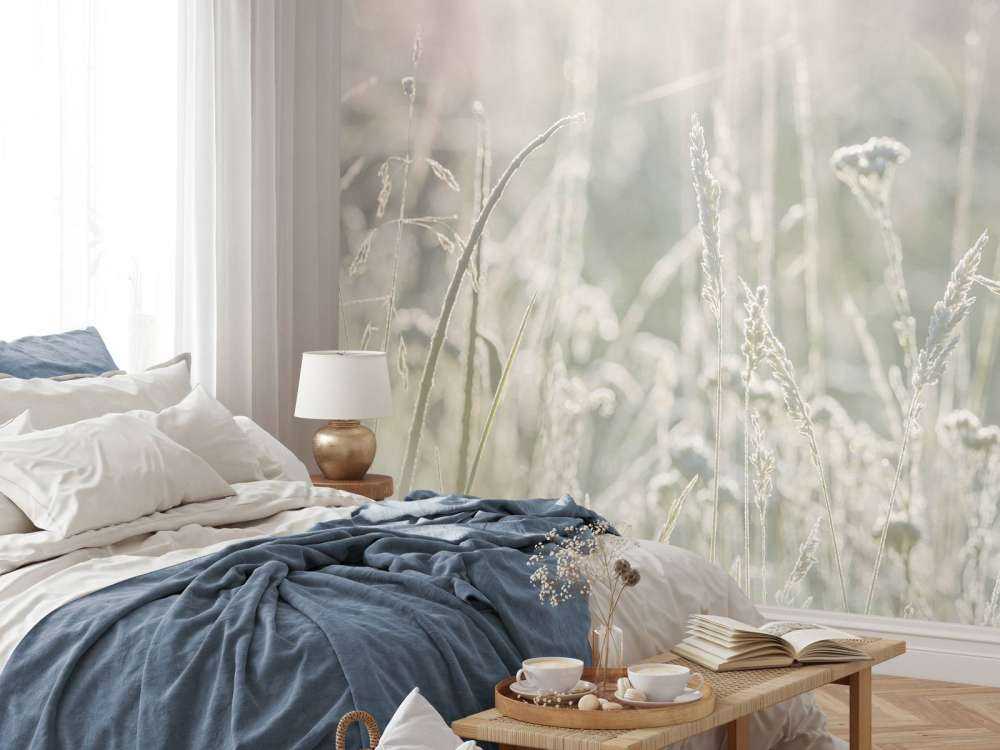 Weide planten in de zon met een wazige achtergrond