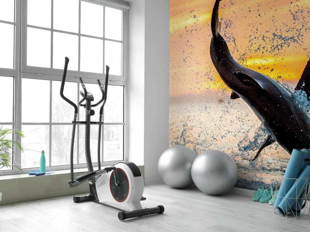 Grote witte haai aan het aanvallen