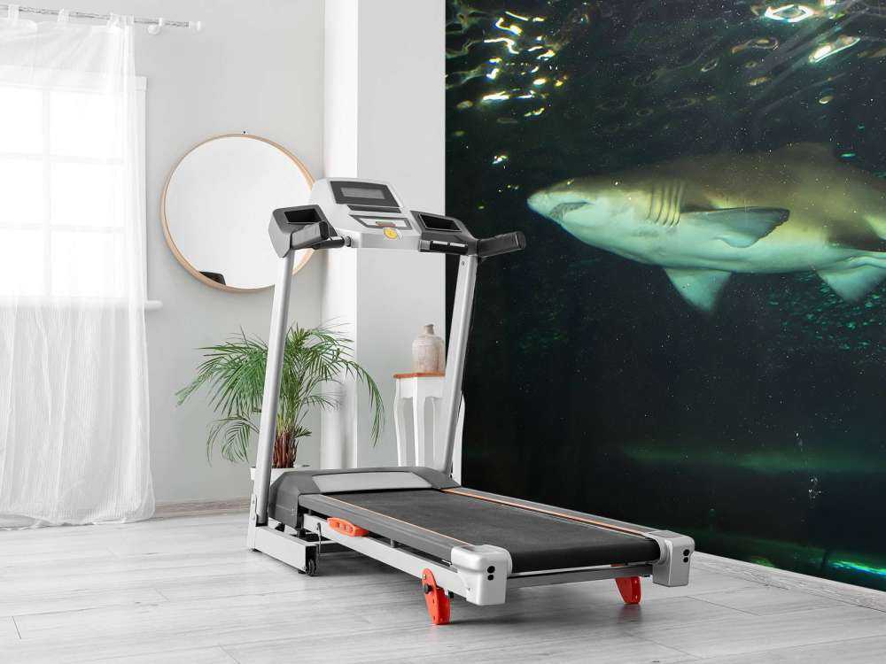 Grote witte haai in een aquarium