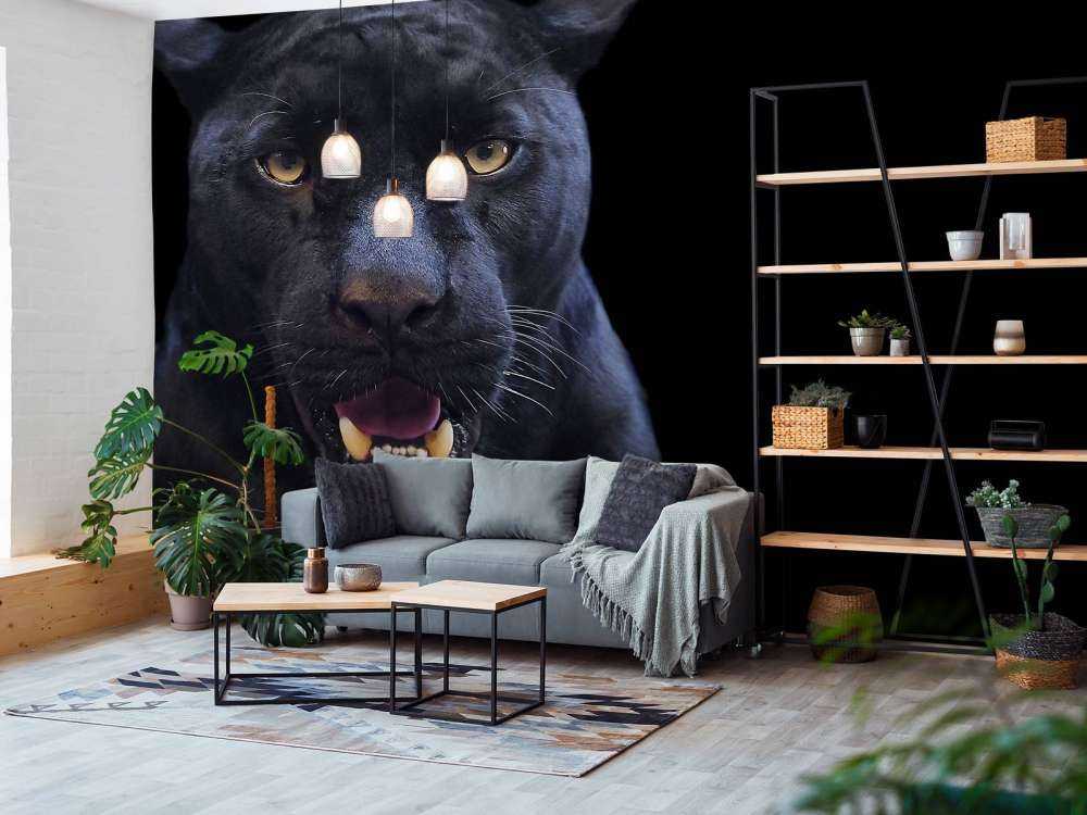 Panter met een zwarte achtergrond