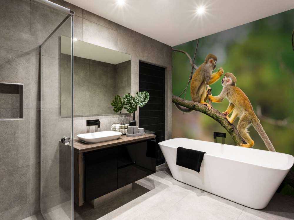 Twee doodshoofdaapjes op een tak