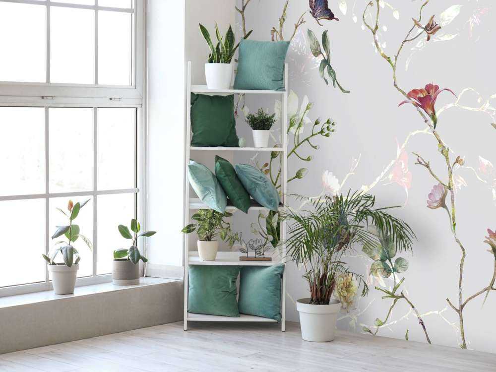 Vlinderflora Lichtspel