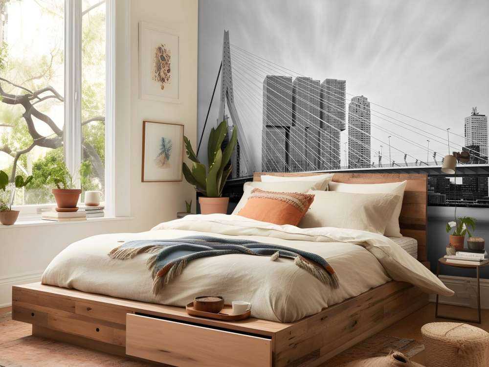 Erasmusbrug zwart wit