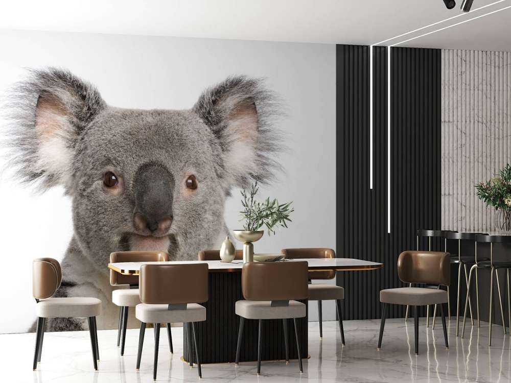 Foto van een koala