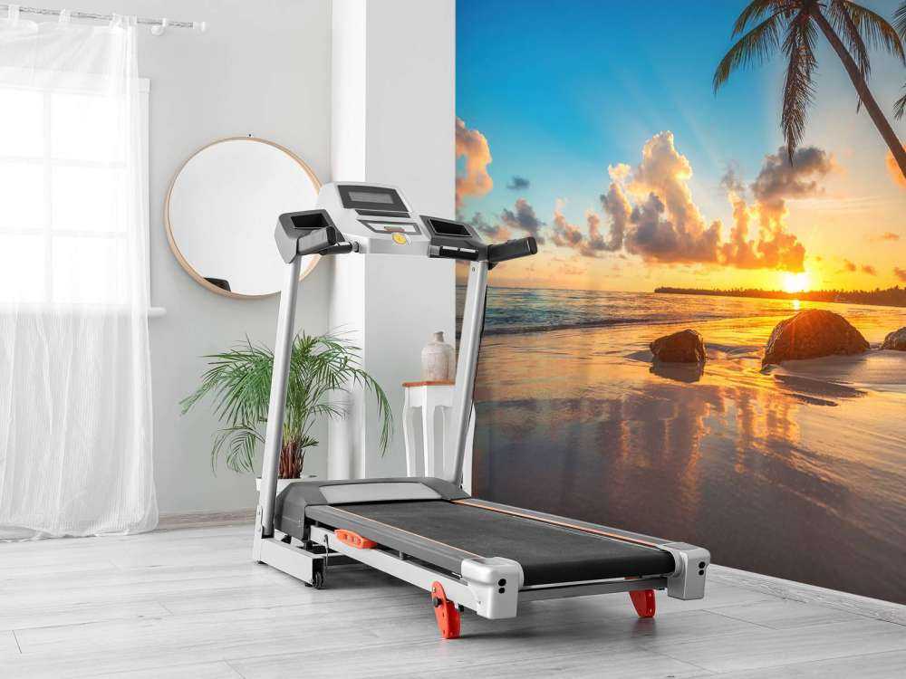 Palmbomen met zonsondergang