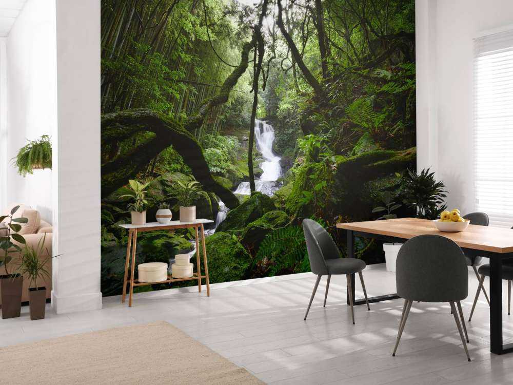 Waterval omgeven door bomen