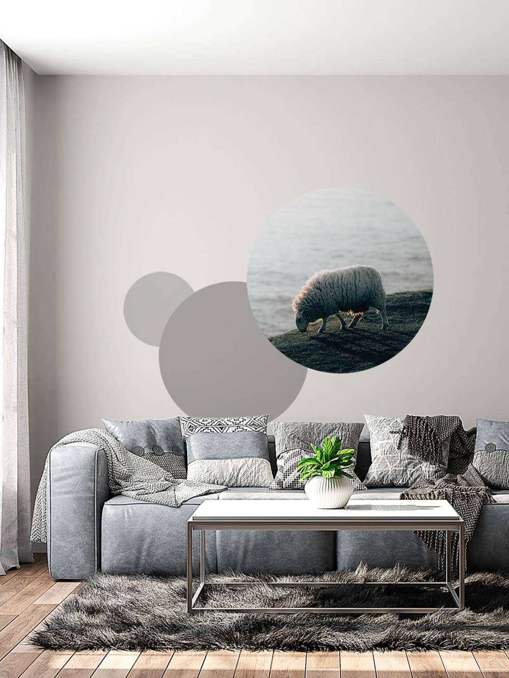 Grazend schaap