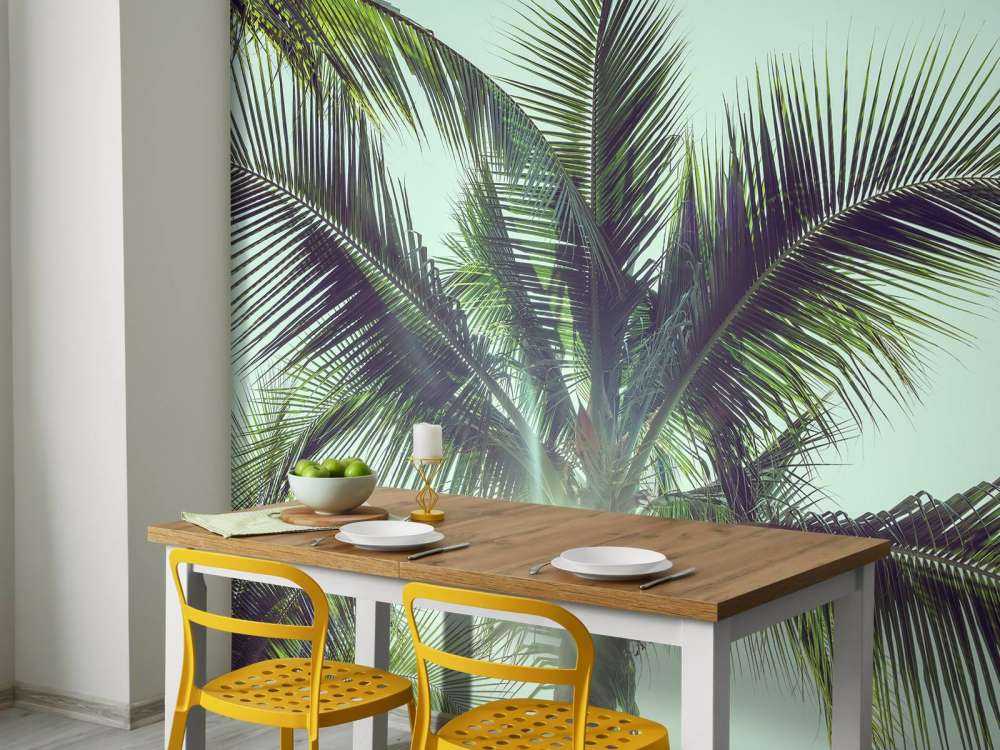 Palmbomen in de zon