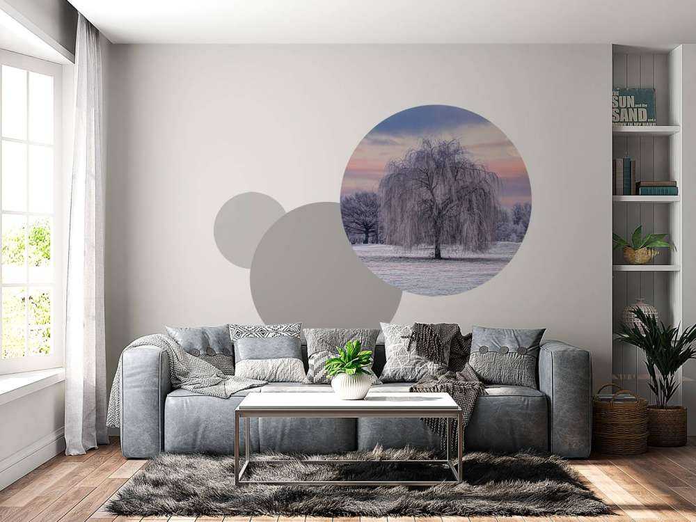 Boom bedekt met vorst