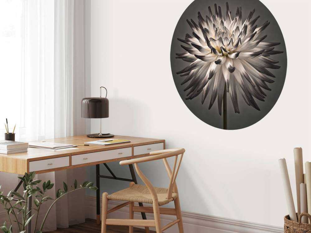 Dahlia bloem zwart wit