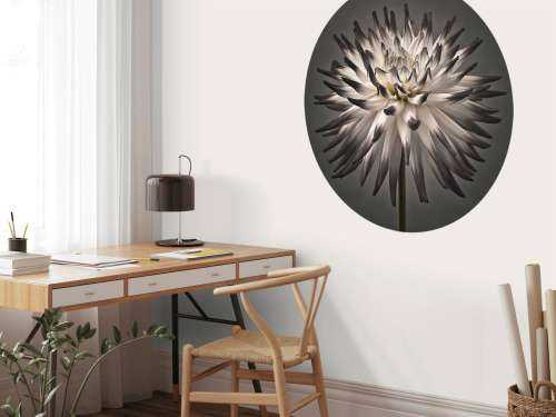 Dahlia bloem zwart wit