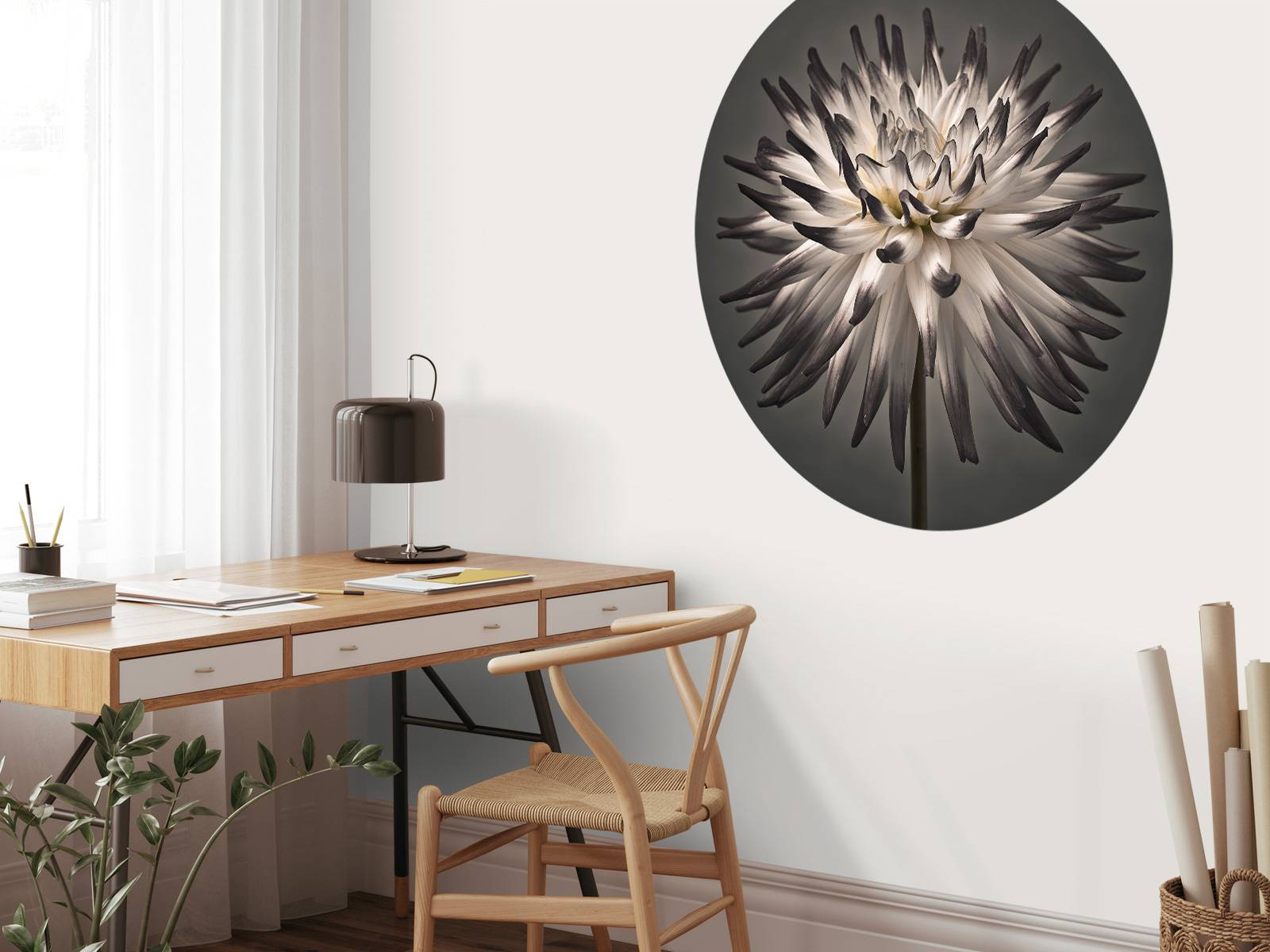 Dahlia bloem zwart wit