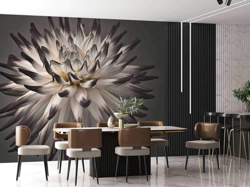 Dahlia bloem zwart wit