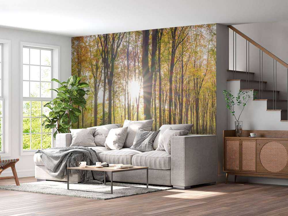 Zonlicht door herfstbos