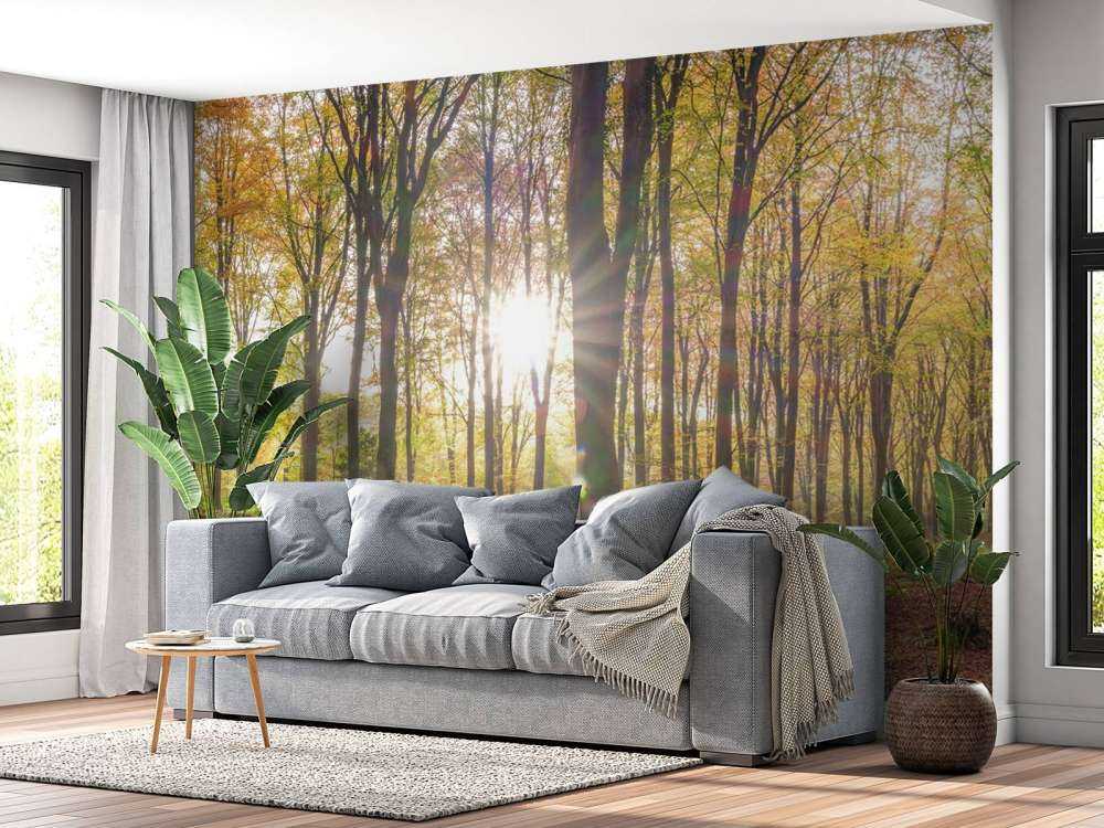 Zonlicht door herfstbos