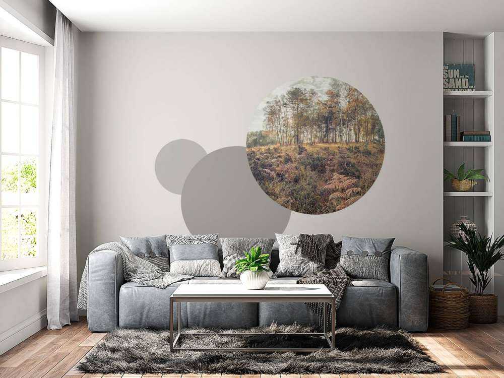 Bos tijdens de ochtend