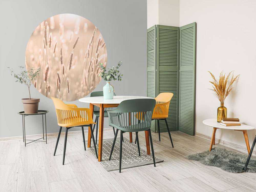 Zonlicht door weiland