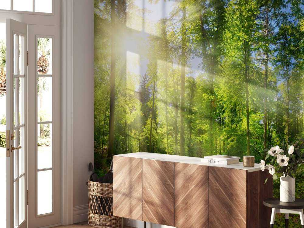 Bos met zonnestralen