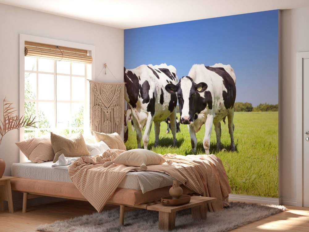 Fotobehang koeien