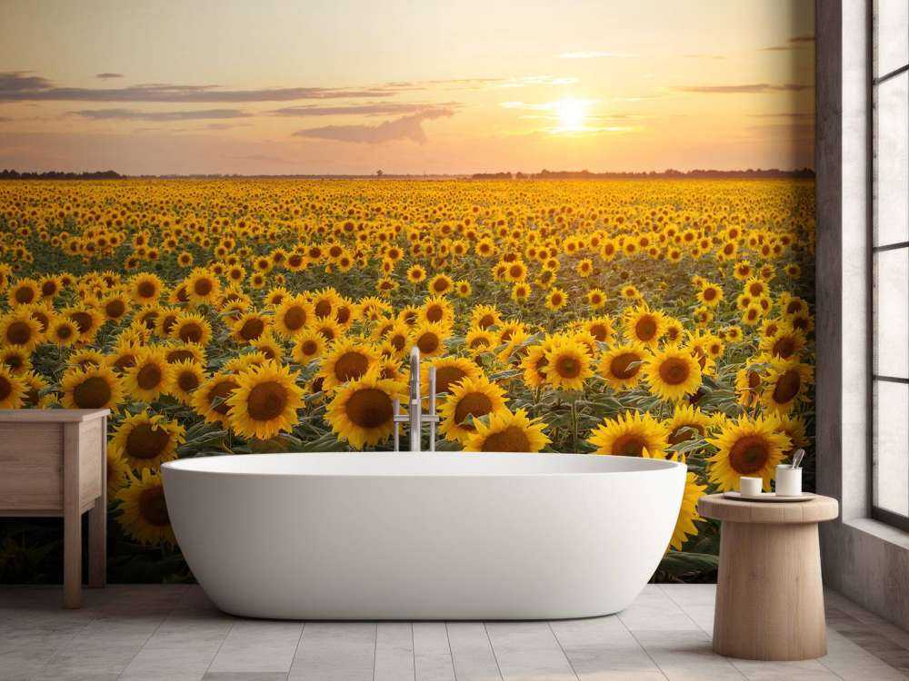 Zonnebloemen veld met zonsondergang